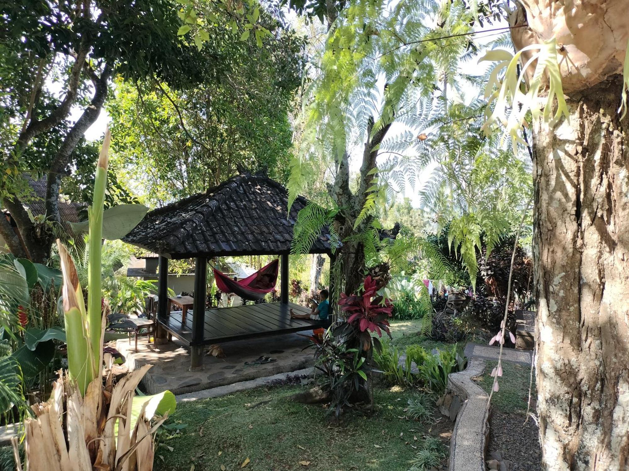 D'Kailash Retreat Singaraja Kültér fotó