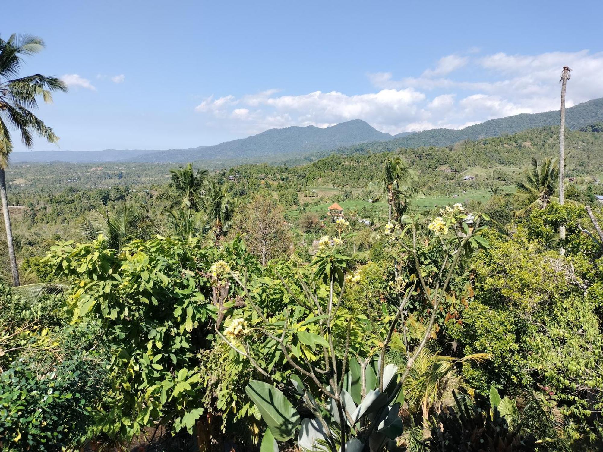 D'Kailash Retreat Singaraja Kültér fotó
